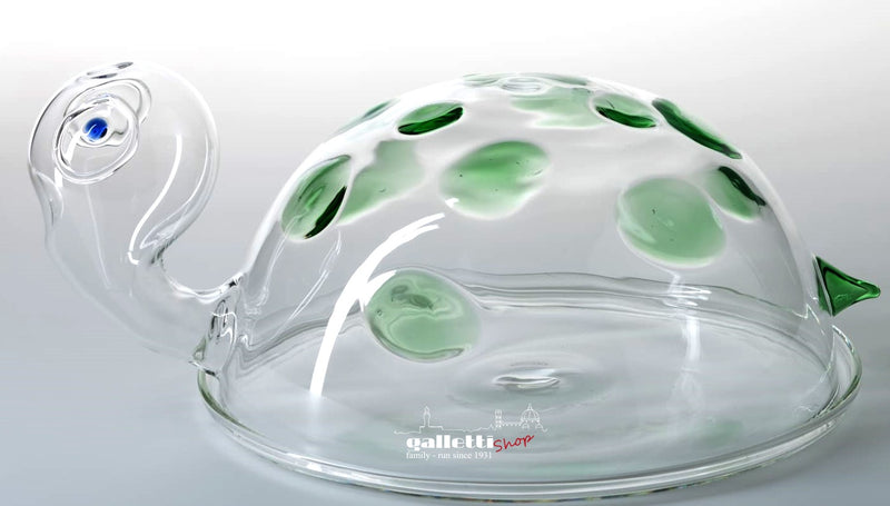 Turtle Glass Dome by Massimo Lunardon