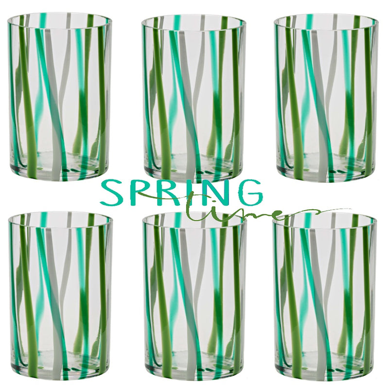 Spring Glass Tumbler Set - 6 Pieces