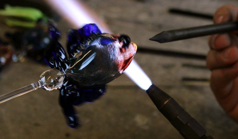 Massimo Lunardon Aquarium Fighting fish water Pitcher