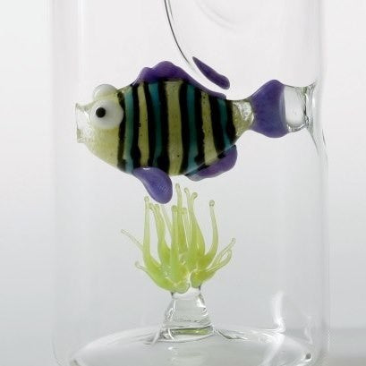 Massimo Lunardon Aquarium Rainbow fish water Pitcher