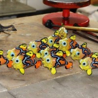 Massimo Lunardon Aquarium Mandarin fish water Pitcher