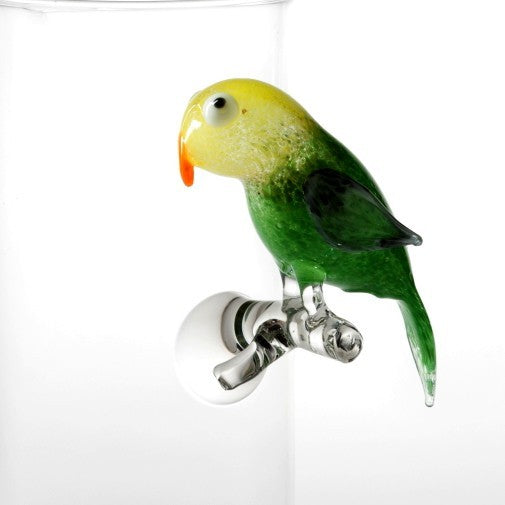 Massimo Lunardon Water Pitcher – Parakeet