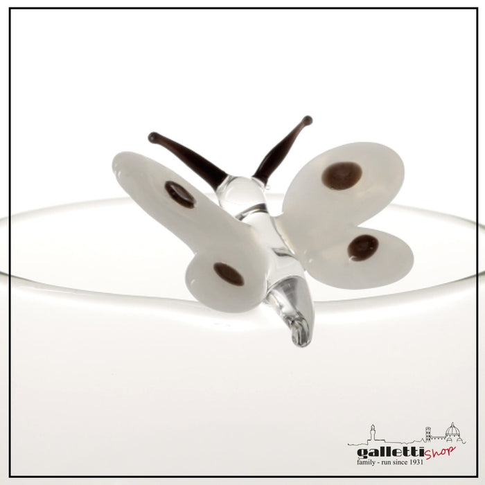 Massimo Lunardon Butterfly bowl Brio | Gallettishop