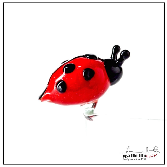 Massimo Lunardon Ladybug bowl | GallettiShop