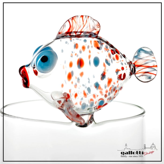 Massimo Lunardon bowl brio Betta fish | GallettiShop