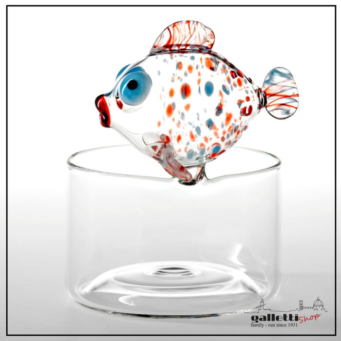 Massimo Lunardon bowl brio Betta fish | GallettiShop