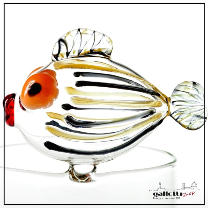 Massimo Lunardon Cardinal fish bowl brio | GallettiShop