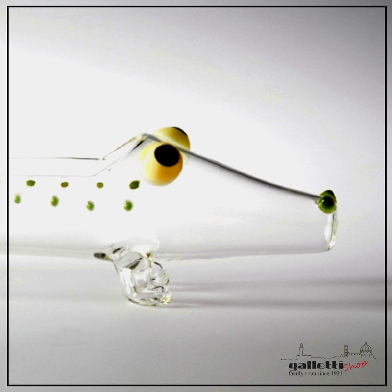 Massimo Lunardon  CROKYGRIS BASKET