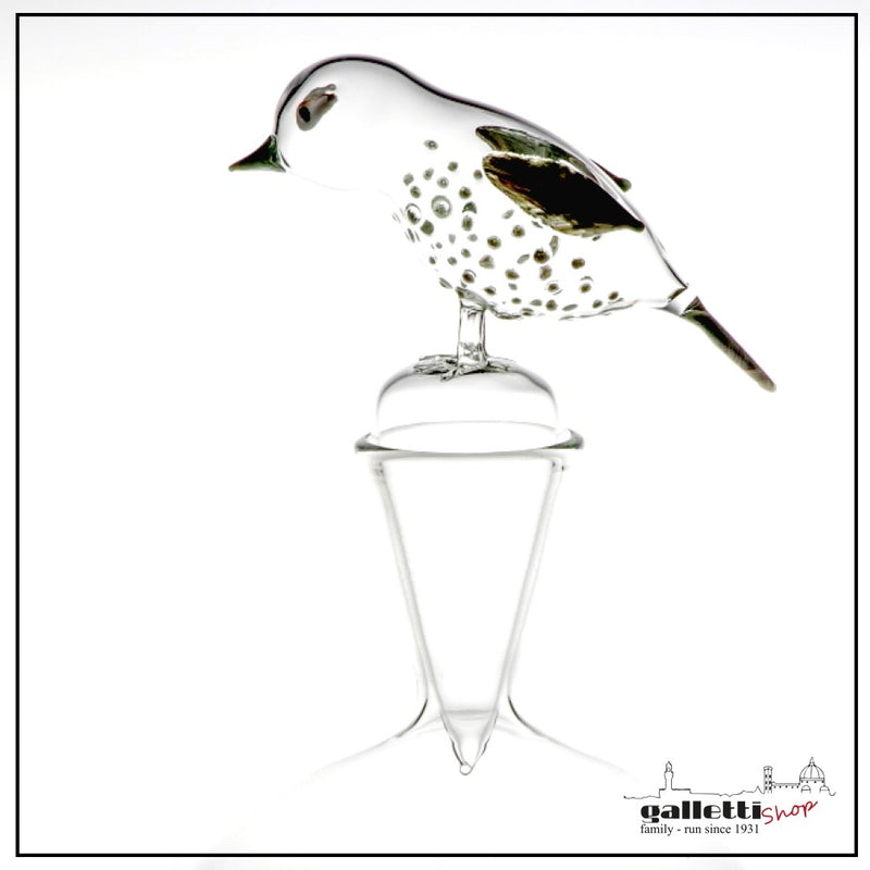 Massimo Lunardon Wine decanter – Cork Trush