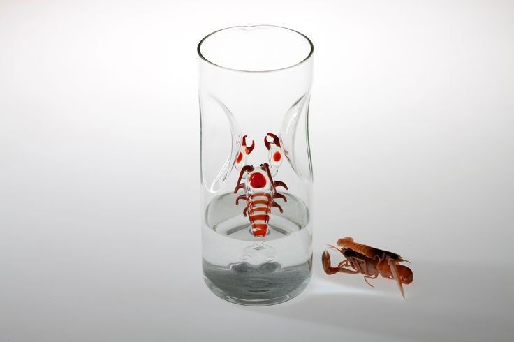 Massimo Lunardon Water Pitcher – Lobster
