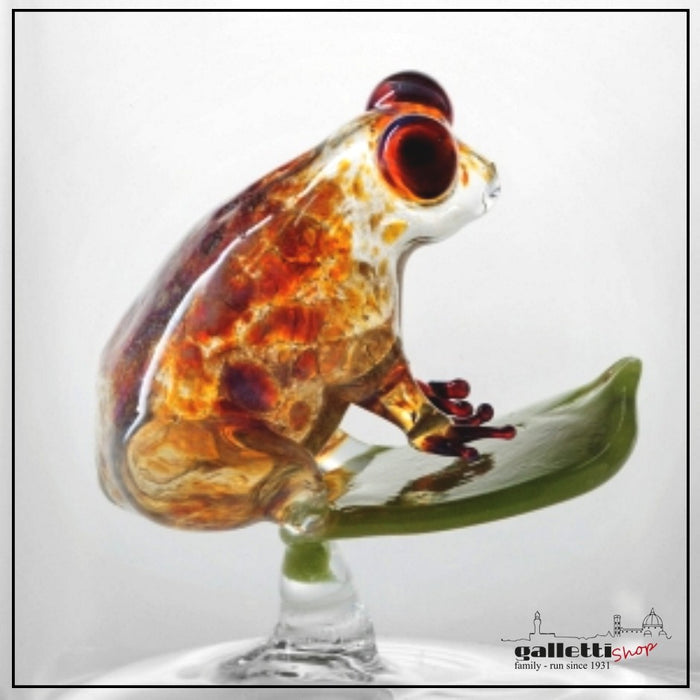 Massimo Lunardon Water Pitcher - Cuban Frog