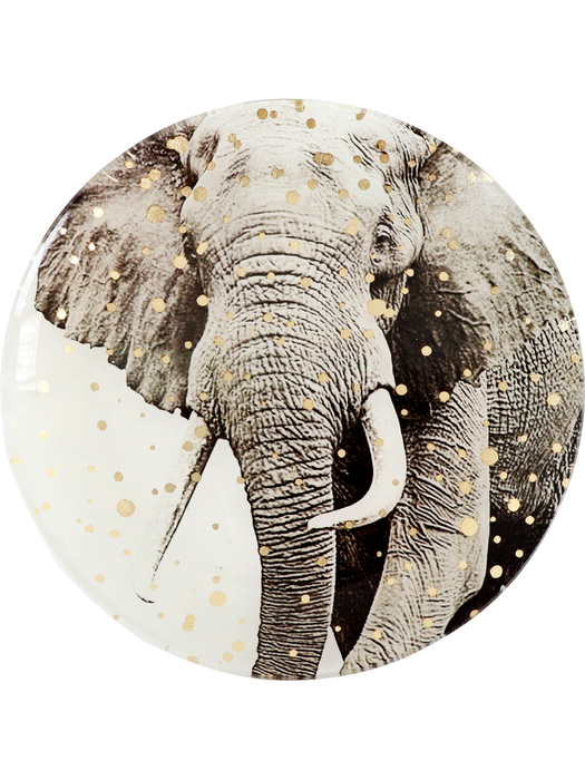 Jungle plates set: Elephant